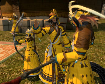 Training with other Oronirs